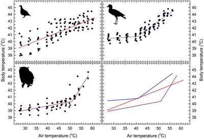 Efficient Evaporative Cooling and Pronounced Heat Tolerance in an Eagle-Owl, a Thick-Knee and a Sandgrouse